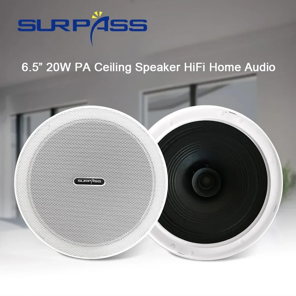 방진 프레임리스 천장 스피커, PA 오디오, 가정용 사 - Home Cinema System 리뷰 및 가격